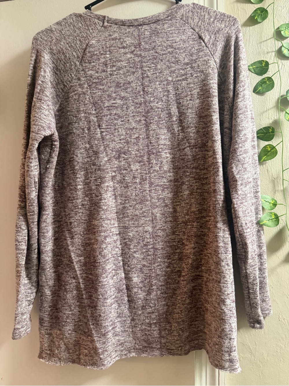 American Eagle Soft & Sexy Plush Heather Mauve Long Sleeve Top Women’s